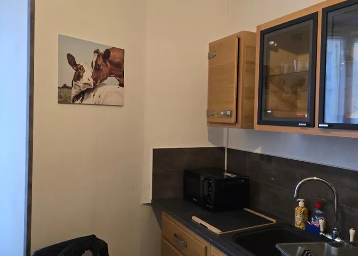 Les Tomettes Du Midi - Elegance & Authenticite * Καρκασόν